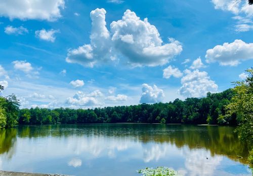 A serene lake surrounded by lush greenery under a bright blue sky with fluffy white clouds.