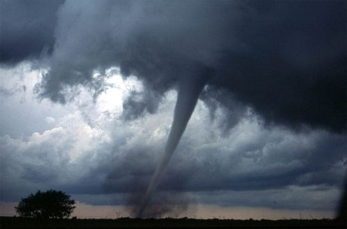 A tornado descends from dark storm clouds over a flat landscape, with a lone tree in the foreground.