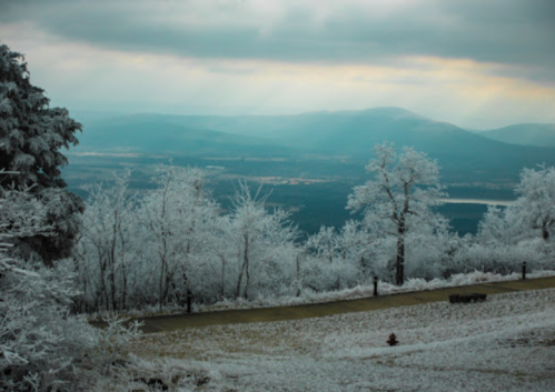 A winter landscape with frosted trees and mountains in the distance under a cloudy sky.