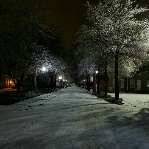 A quiet, icy street lined with trees and streetlights, illuminated at night with a light dusting of snow.