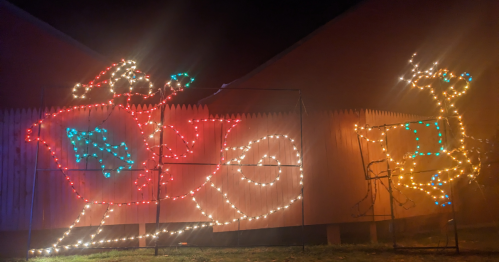 Colorful Christmas lights depicting Santa in a sleigh and a reindeer against a dark background.