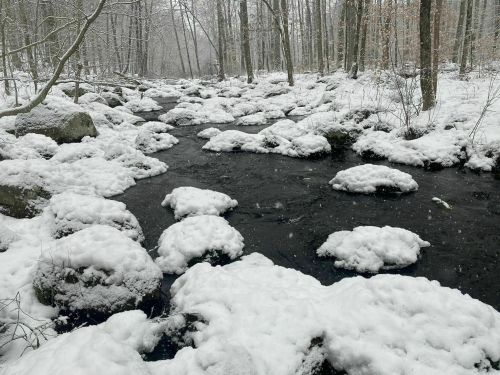 A snowy forest scene with a stream flowing through rocks covered in snow. Trees are lightly dusted with snow in the background.