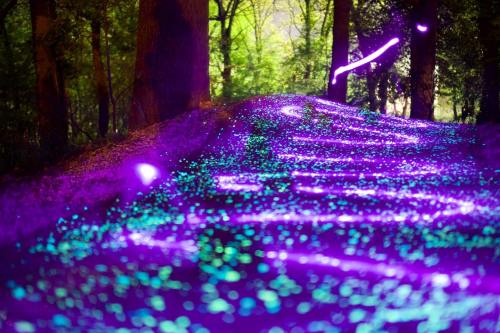 A glowing, colorful path through a forest, illuminated with purple and teal lights among trees.