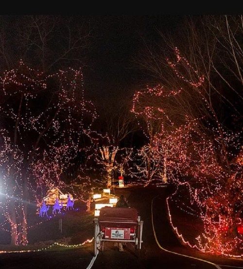 A winding road illuminated by colorful holiday lights, surrounded by trees and festive decorations at night.
