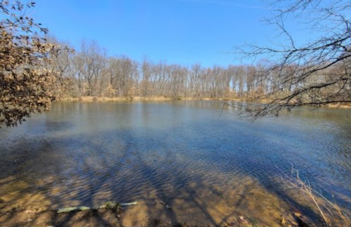 A serene lake surrounded by bare trees under a clear blue sky, reflecting the calm water.
