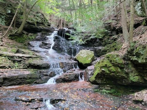 A serene waterfall cascading over mossy rocks, surrounded by lush green trees in a tranquil forest setting.