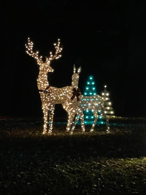 Two illuminated reindeer with a bow, beside a glowing Christmas tree, set against a dark background.