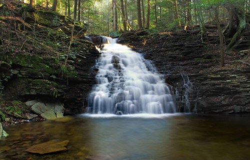 A serene waterfall cascades over rocky ledges into a calm pool, surrounded by lush green trees in a tranquil forest setting.