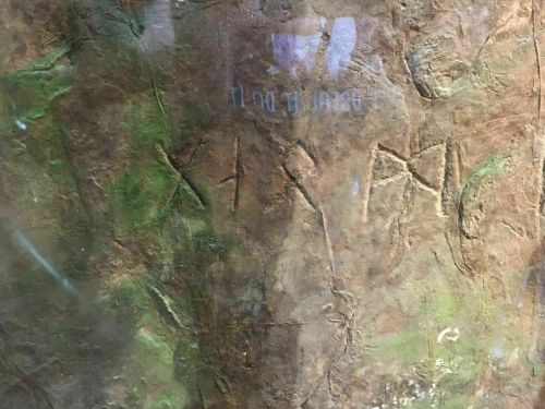 Close-up of ancient carvings on a stone surface, showing symbols and markings in a textured, earthy background.