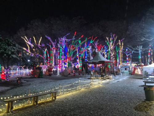A festive park illuminated with colorful lights and decorations, surrounded by snow-covered trees and pathways.