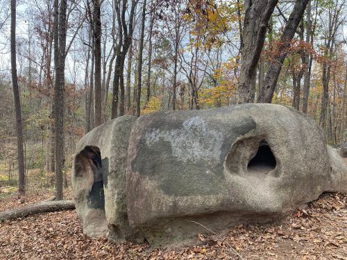 A large, weathered rock with two hollowed-out sections, surrounded by trees and autumn foliage.