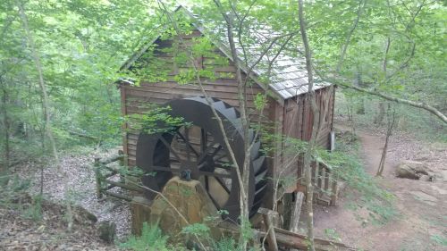 A rustic wooden watermill surrounded by lush green trees in a serene forest setting.