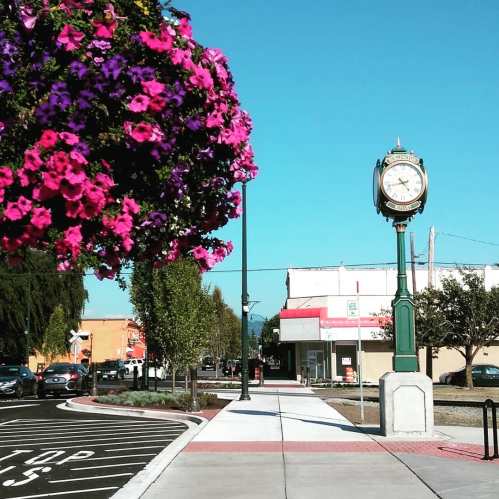 A vibrant street scene featuring colorful flowers, a vintage clock, and a clear blue sky.