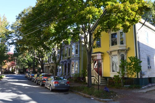 A tree-lined street with colorful houses and parked cars on both sides, showcasing a charming neighborhood.