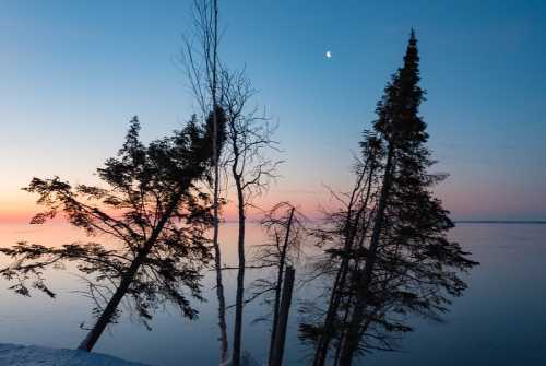 Silhouetted trees against a serene lake at dusk, with a crescent moon in a pastel sky.