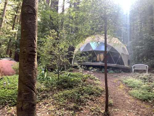 A geodesic dome nestled in a forest, surrounded by trees and greenery, with a path leading to a nearby bench.