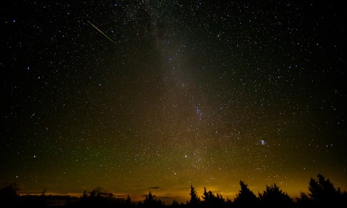 A starry night sky filled with stars and a faint meteor streaking across, above silhouetted trees and a glowing horizon.