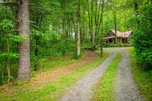 A gravel driveway leads to a cozy wooden house surrounded by lush green trees in a serene forest setting.