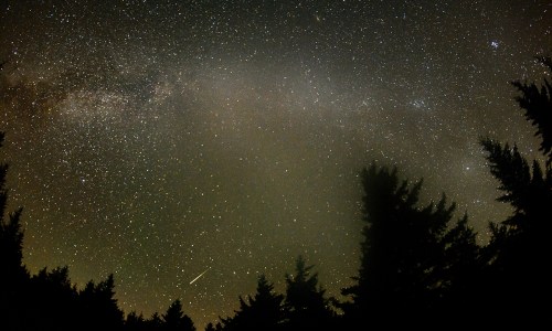 A starry night sky filled with stars and a faint Milky Way, silhouetted by dark tree silhouettes below.