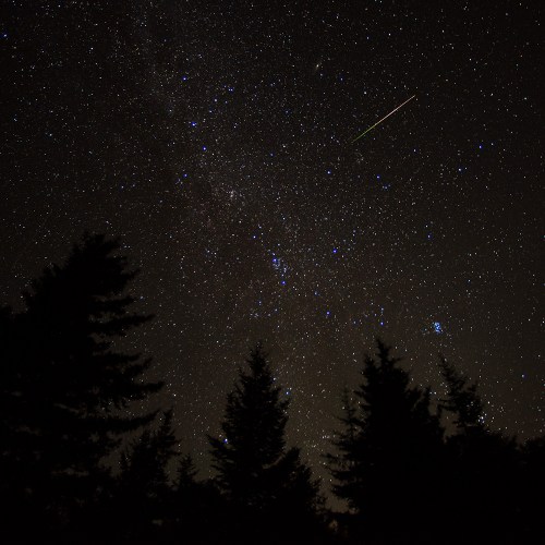 A starry night sky with a shooting star above silhouetted trees.