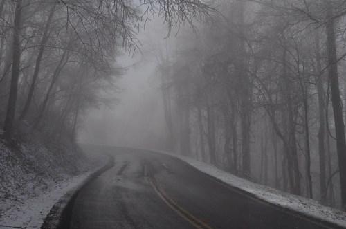 A winding road through a foggy forest, with trees partially obscured and a light dusting of snow on the ground.