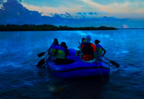 A group of people in a blue raft paddling on a calm waterway during sunset, surrounded by lush greenery.