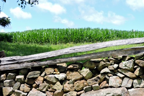 A stone wall with a wooden beam in the foreground, and a lush green cornfield under a blue sky in the background.