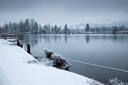 A serene winter landscape featuring a snowy shoreline and calm, reflective water surrounded by trees.