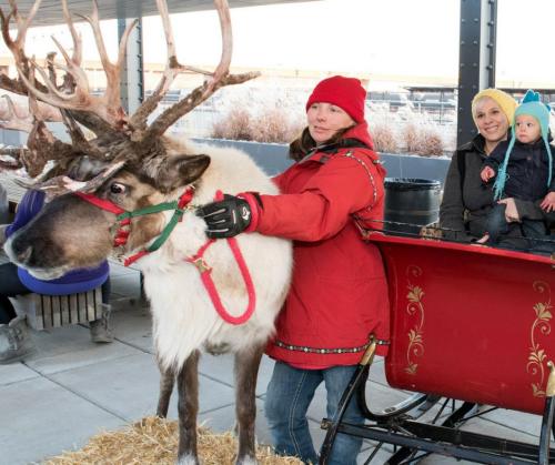 A woman in a red coat stands beside a reindeer with antlers, while a mother and child sit in a sleigh nearby.