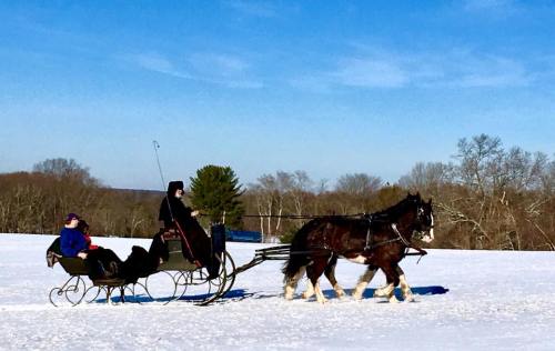 A horse-drawn sleigh glides over snow, with two people enjoying a winter ride against a clear blue sky.
