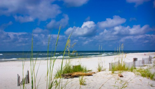 A serene beach scene with white sand, gentle waves, and tall grass under a blue sky with fluffy clouds.