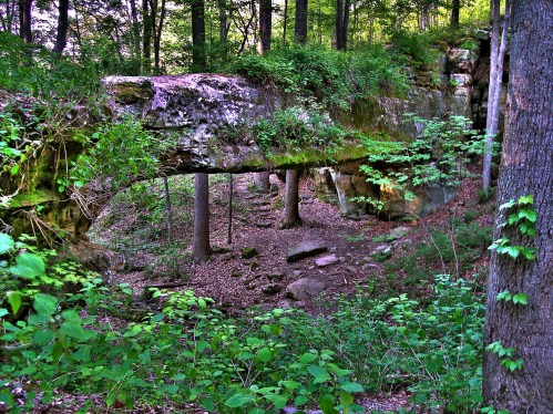 A natural stone arch surrounded by lush greenery and trees in a serene forest setting.