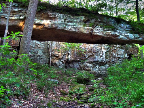 A natural rock formation with a large overhang surrounded by lush greenery and trees.
