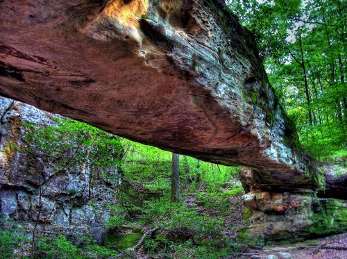 A natural stone arch bridge surrounded by lush greenery and rocky terrain in a serene forest setting.