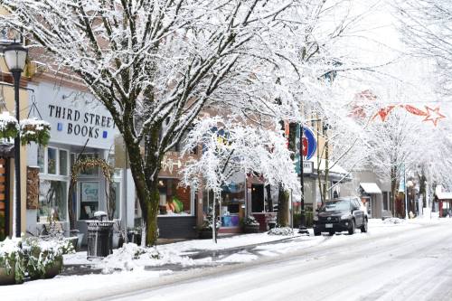 A snowy street scene featuring a bookstore, decorated trees, and a parked car, creating a cozy winter atmosphere.