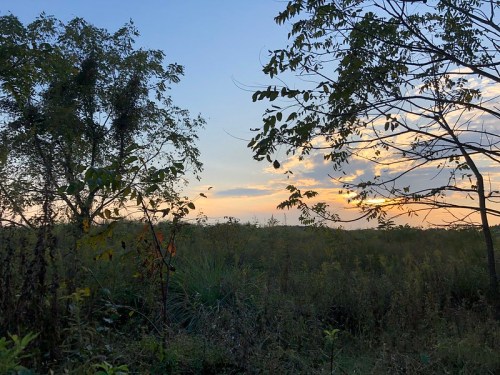 A serene landscape at sunset, with trees framing a colorful sky and grassy fields in the foreground.