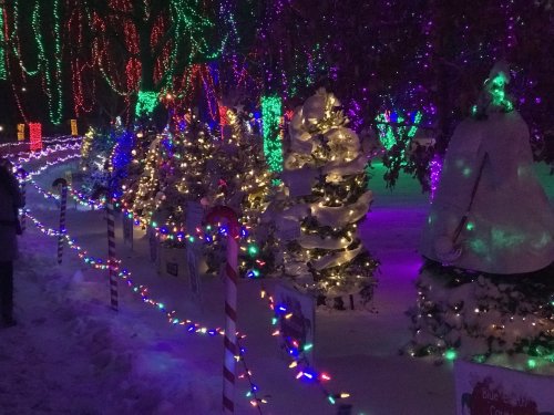 Colorful holiday lights illuminate a snowy path lined with decorated trees and festive displays.