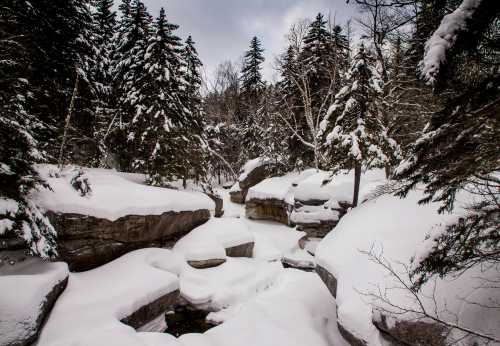 A snowy landscape with a winding river, surrounded by tall evergreen trees and rocky formations.