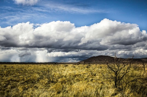 A vast landscape with golden grass, distant mountains, and dramatic clouds in a blue sky.