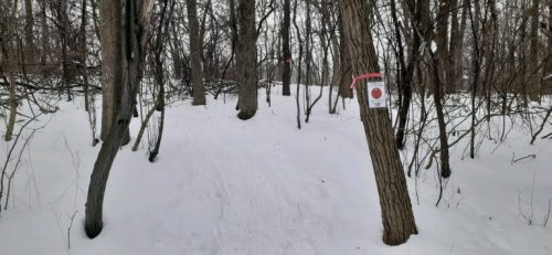 A snowy path through a forest with bare trees and a sign attached to a tree trunk.