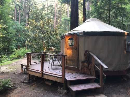 A cozy yurt on a wooden deck surrounded by lush green trees in a serene forest setting.