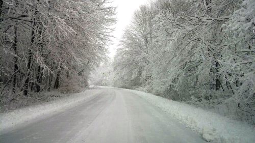 A snow-covered road surrounded by trees blanketed in white snow, creating a serene winter landscape.