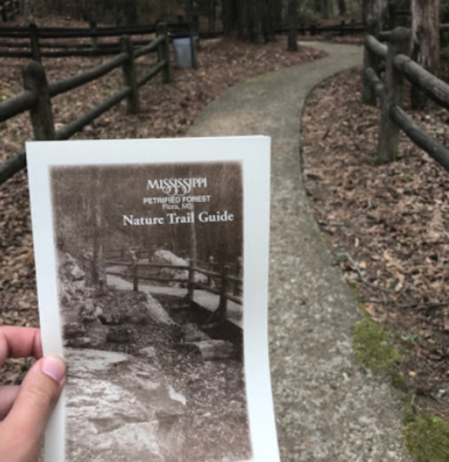 A hand holds a nature trail guide in front of a winding path through a wooded area with wooden fences.
