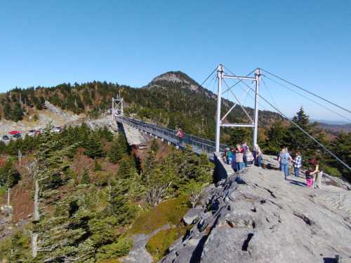 A suspension bridge spans a rocky landscape with people gathered on the edge, surrounded by trees and mountains.