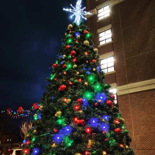 A brightly lit Christmas tree adorned with colorful ornaments and a star on top, set against a dark evening sky.