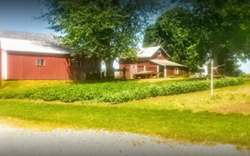 A scenic view of a red barn and farmhouse surrounded by green fields and trees on a sunny day.