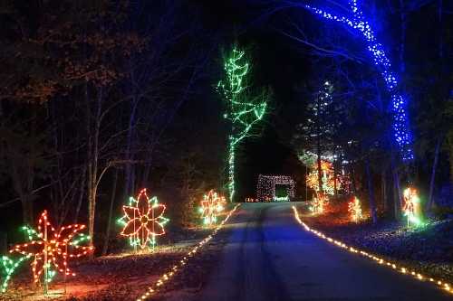 A festive pathway lined with colorful holiday lights and illuminated trees, creating a cheerful nighttime scene.