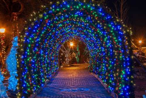 A vibrant archway of blue and green Christmas lights, leading down a brick path at night.