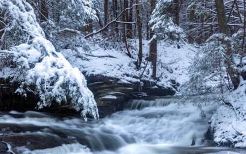 A serene winter scene featuring a flowing stream surrounded by snow-covered trees and a tranquil forest backdrop.