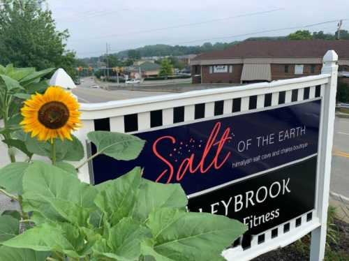 A sunflower beside a sign for "Salt of the Earth," a Himalayan salt cave and wellness boutique, on a sunny day.